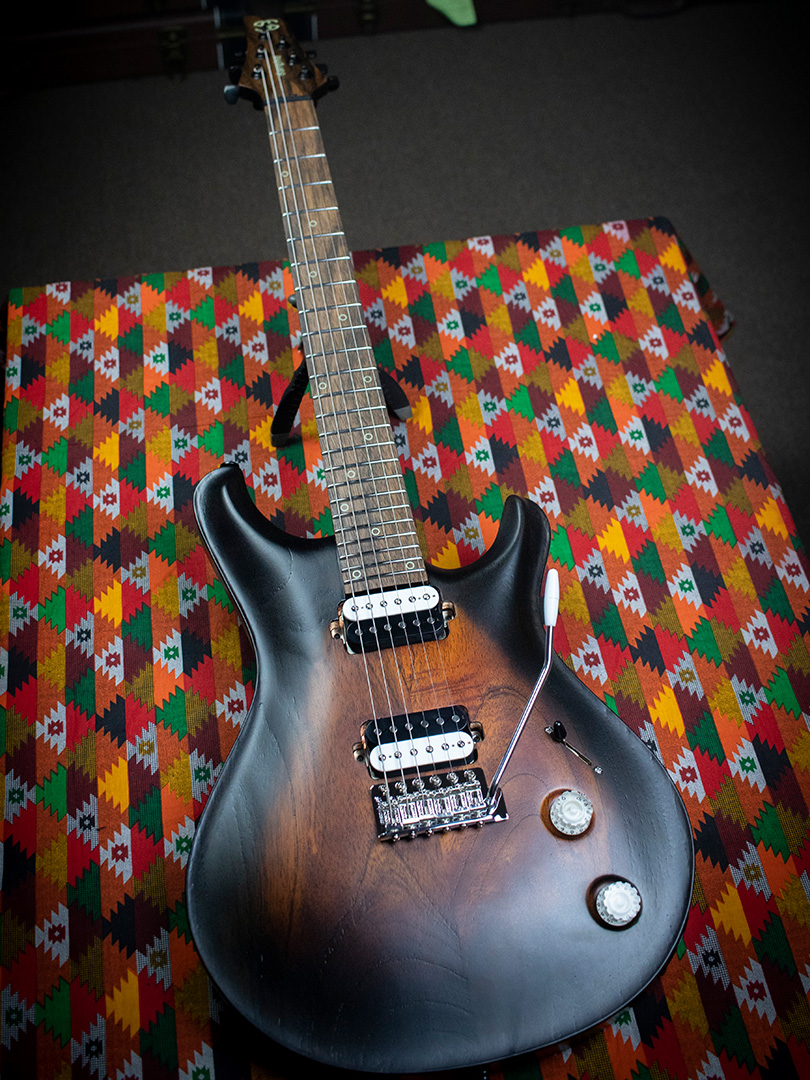 "Standard Series" Tobacco Burst Danphe
